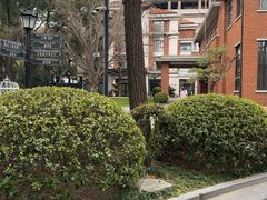 -上海瑞金洲际酒店