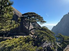 -黄山风景区