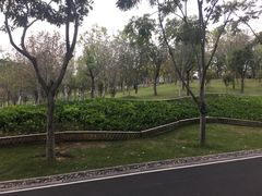 -牛岗山公园