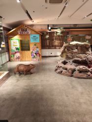 -造物庄园 萌宠纪(苏州湾歌林公园店)