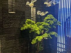 -上足·影院足道·SPA(红岭店)
