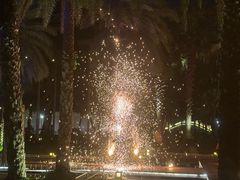 -日落吧·海景咖啡厅·餐酒吧·鸡尾酒·下午茶·乐队表演·浪漫夕阳·三亚文华东方酒店