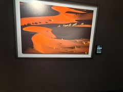 -罗红摄影艺术馆