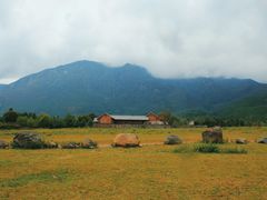 -玉湖村