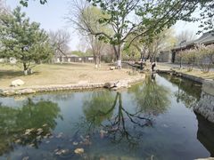 -三里河公园