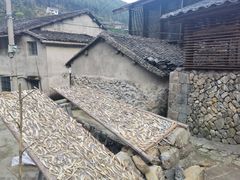 -MOJ coffee(瓯海泽雅水碓坑店)