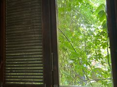 -斯多格书乡(北京大学畅春园店)