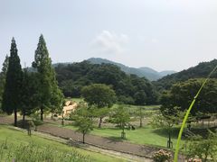 -神户市立六甲山牧场