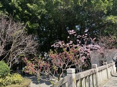 -乌山风景区