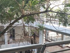 -顺德职业技术大学