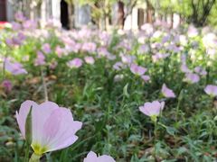 -山东大学(趵突泉校区)