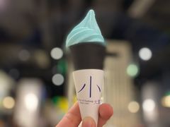 冰淇淋-小大董·烤鸭(王府井apm店)
