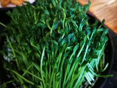 -湊湊火锅·茶憩(南京东路悦荟店)