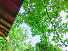 -广东花都湖国家湿地公园