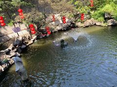 -东江渔村·古典园林·30年粤菜老字号(太和店)