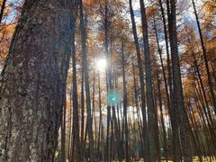 -硗碛藏寨·神木垒景区