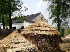 餐饮设施-同里国家湿地公园