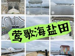 -莺歌海盐场