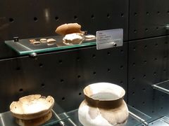 -九龙公园