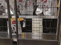 -眉州东坡(民族园店)
