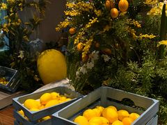 -沛家·西餐Brunch·直火料理