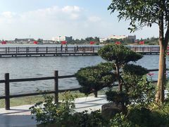 -鹅湖玫瑰文化园