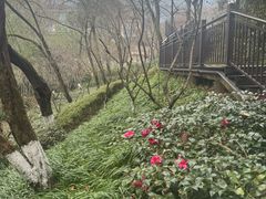 -杭州半山国家森林公园