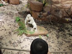 -陕西自然博物馆