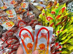 -舜华临武鸭·湖南零食特产(三王街店)