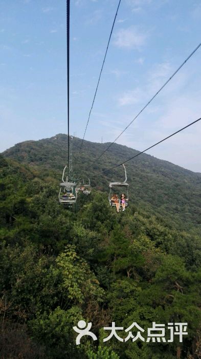 紫金山观光索道图片 第334张