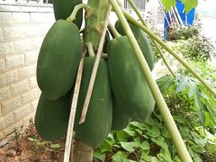 -丹霞山迎客楼民宿私房菜