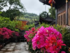 -杭州上天竺法喜讲寺
