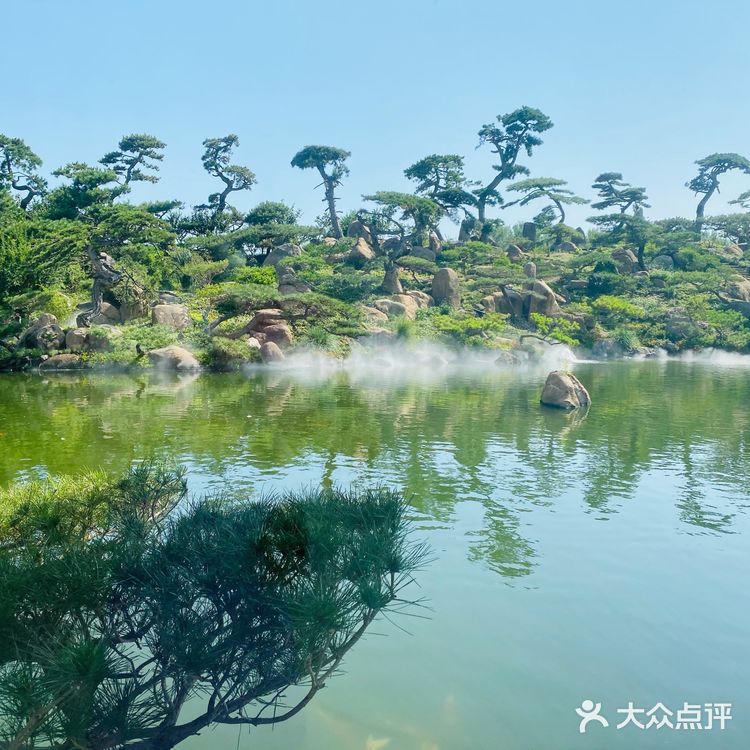 朋友圈被问爆了的氛围感下午茶☕️