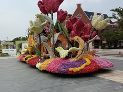 -荷兰花海