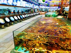 水产区-湾仔渔村(高明店)