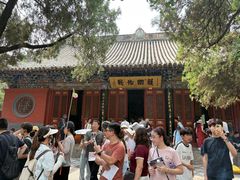 -洛阳白马寺