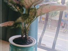 -绿茵阁牛扒餐厅(客村店)