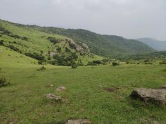 -大姆山草场