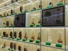 -广东中医药博物馆