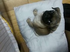 -佳兆业国际影城(鞍山店)