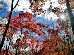 -香炉山国家森林公园