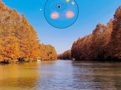 -上海海湾国家森林公园