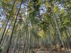 -池州市平天湖风景区