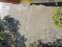 -北海金海湾红树林生态旅游区