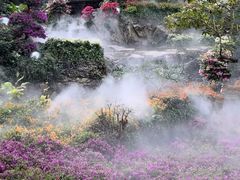 -广州市白云山风景名胜区