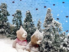 -广州热雪奇迹