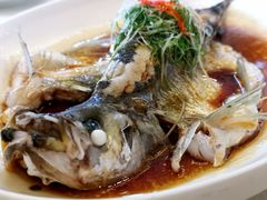 -新加坡泰国村酒楼(五角场店)