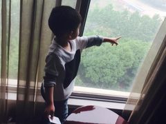 -常州环球恐龙城维景国际大酒店