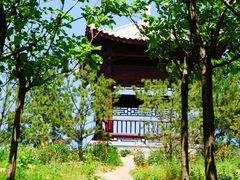 -马家湾湿地公园