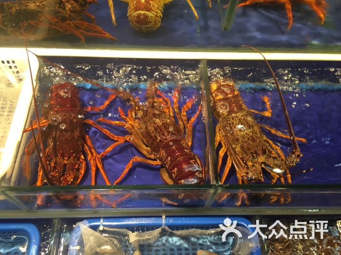 青年公社海鲜城图片 - 第556张